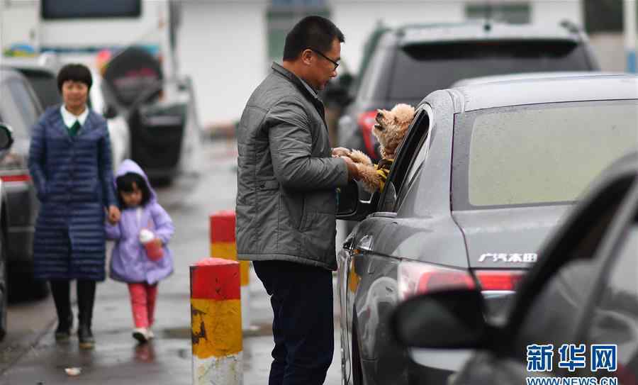 海口大雾 实拍春节海口堵车图片 春节琼州海峡大雾致滞留图