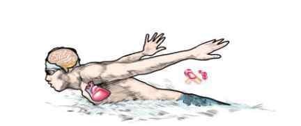 游泳需知 夏季游泳安全注意事项及禁忌