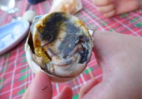 鸭仔蛋 亚洲旅游美食盘点 十款让人望而生畏的奇葩美食