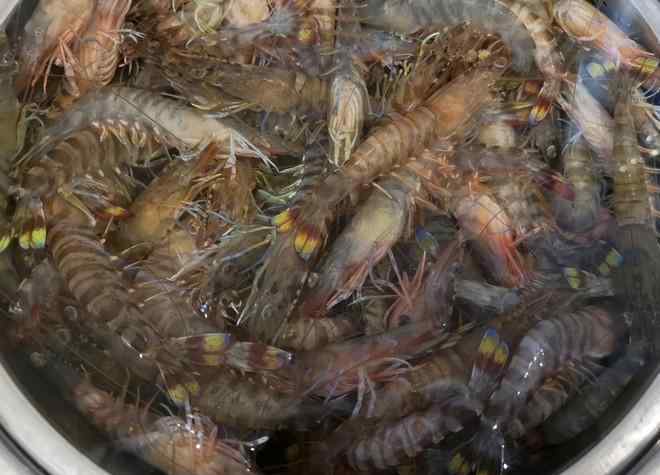 虾怎么保存才新鲜 鲜活虾冷冻保鲜的方法可以保存多久？