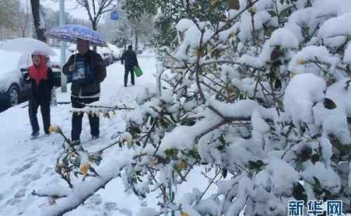 烟台高速今天封路吗 高速路况实时查询：山东多个高速收费站因雪临时封闭 高速封路最新消息