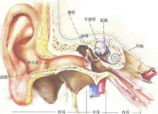 耳石症看哪个科室 眩晕为什么要看耳鼻喉科？