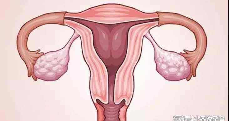 输卵管切除一边还可以怀孕吗 一侧输卵管切除后还能怀孕吗？