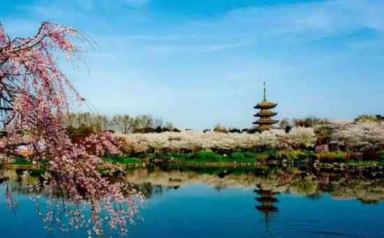 三月旅游去哪好 武汉春季赏花踏青攻略 3月武汉旅游去哪里好
