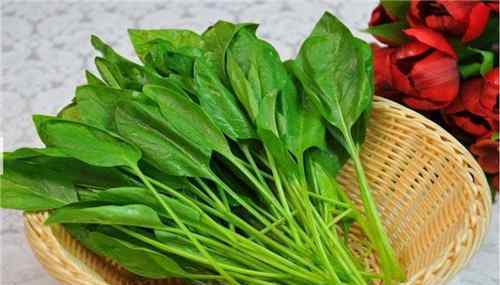 十种蔬菜润肺最有效 春季养生吃什么蔬菜好 10类蔬菜可以润肺补肝
