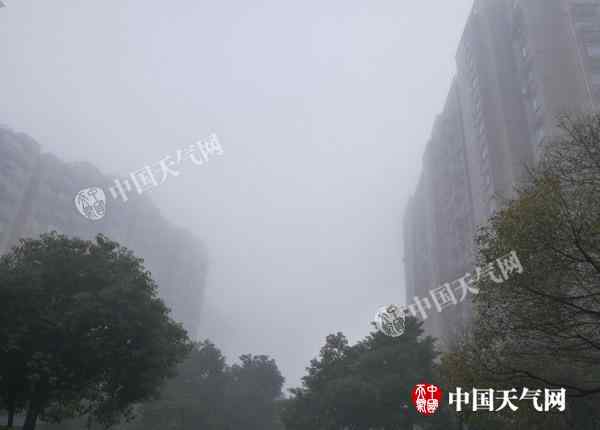 杭州高速路况 高速路况实时查询：浙江今晨大雾弥漫杭州能见度仅100米