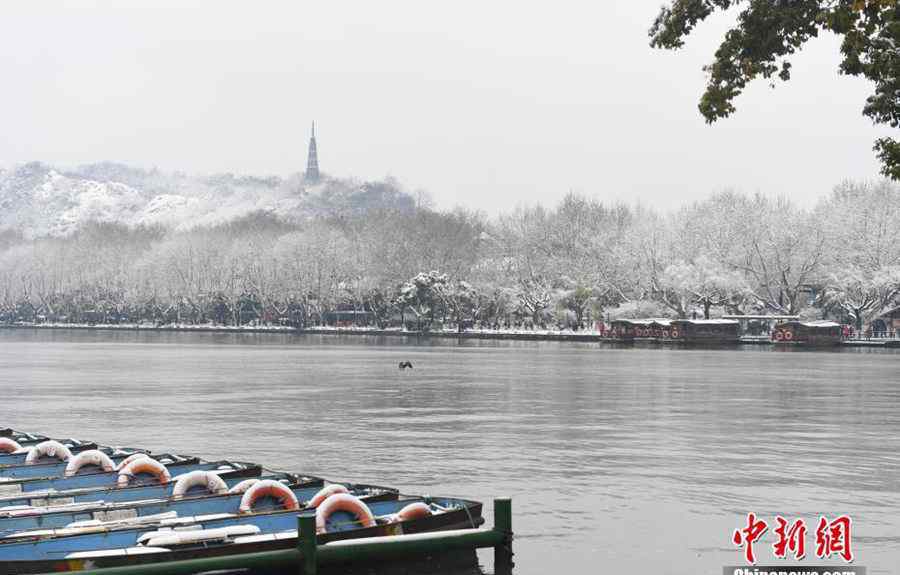 杭州大雪 浙江杭州迎大雪 西湖景区美如画