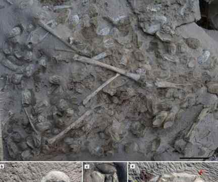 新疆发现翼龙化石 翼龙是什么时候灭绝的？
