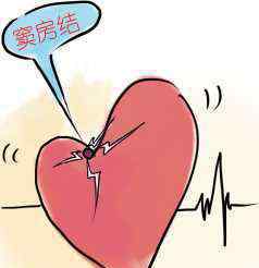 心率和脉搏是一样的吗 什么是心律？“心律”和“心率”一样吗？