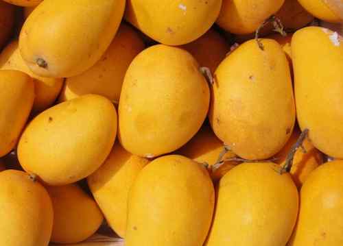 芒果季节 芒果季节到了，怎么正确吃芒果才对