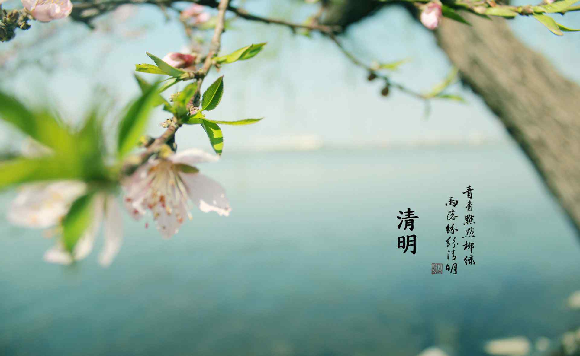 清明节是几月几日 2018年清明节农历是几月几日？具体是几点几分？