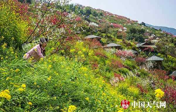 重庆3月天气 重庆天气：重庆3月来日照总数创近5年之最 春分时节持续升温