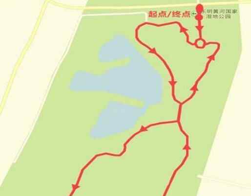 黄河马拉松11月跑 具体是哪一天？