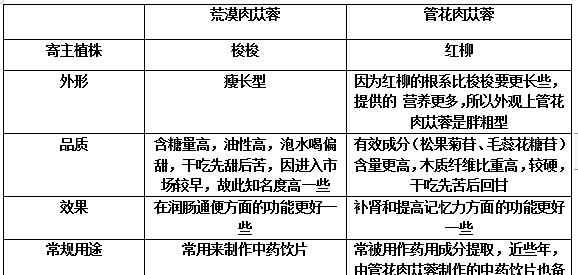 肉苁蓉提取物 如何区别不同植物来源的肉苁蓉提取物