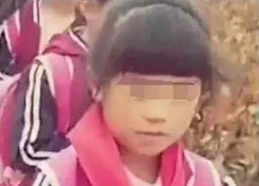 9岁女孩被强塞轿车拐走 山东临沂人王美琪失踪事件真相曝光