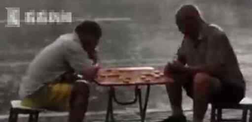 俩大爷暴雨中下棋 为什么不离开？