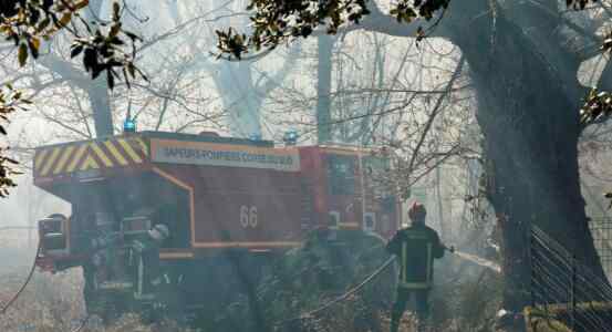 科西嘉岛森林火灾 为什么起火究竟是怎么回事？