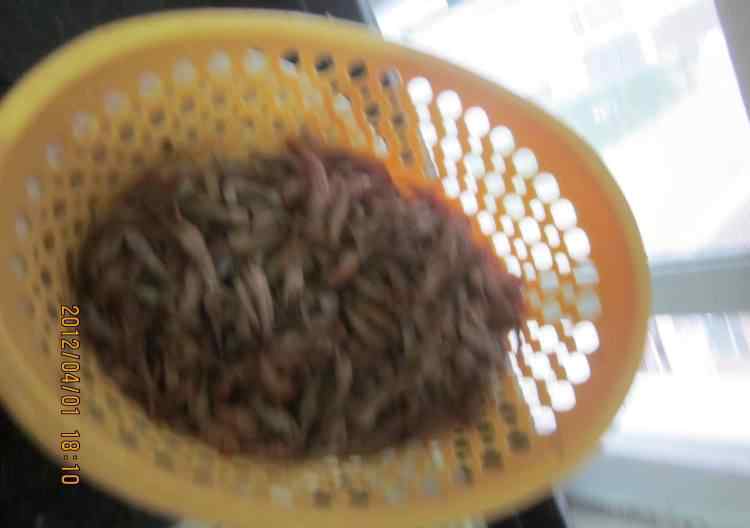小虾怎么做好吃 爆炒小虾怎么做 爆炒小虾做法详细步骤