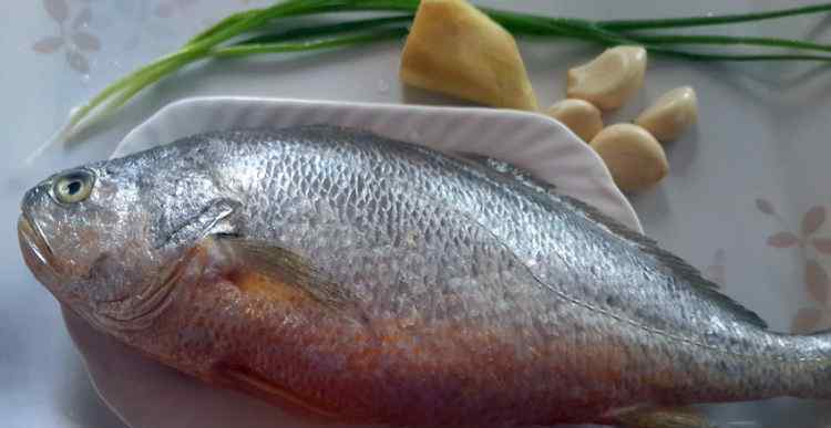 炖大黄花鱼的家常做法 炖大黄花鱼怎么做好吃 炖大黄花鱼做法和材料