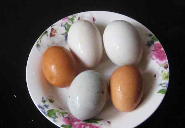 皮蛋的做法 多彩蒸三蛋配方 多彩蒸三蛋做法和材料
