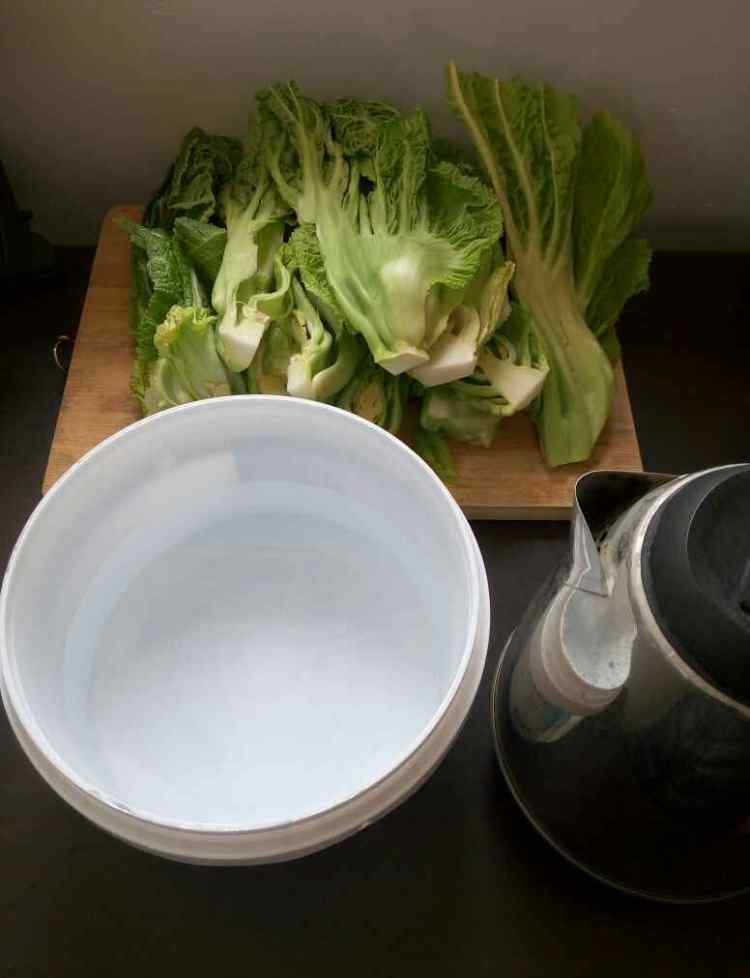 贵州酸菜 自制贵州酸菜怎么做 自制贵州酸菜食谱做法大全