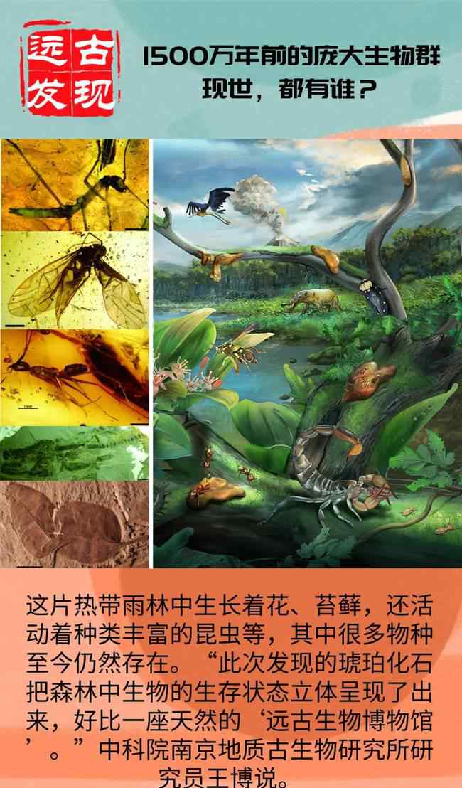 1500万年前的庞大生物群现世 事情的详情始末是怎么样了！