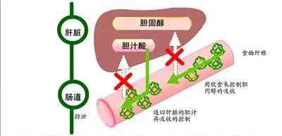 肝功能轻度异常 【谨防肝病】肝功能异常怎么办？