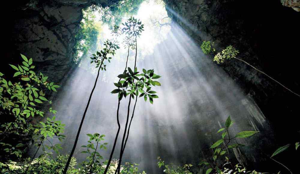 黄猄 地貌惊险景色壮观，野生兰科植物丰富——走近黄猄洞天坑