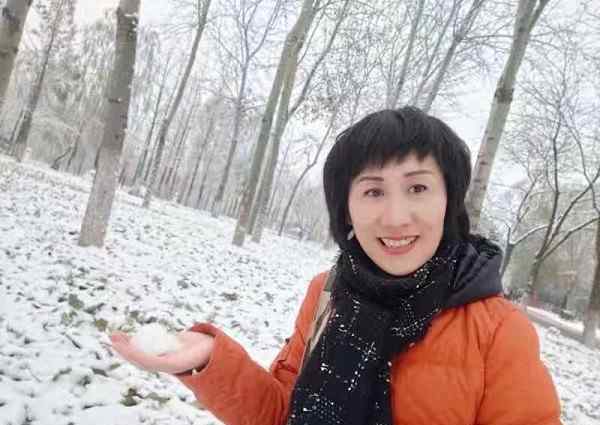 念坛公园 北京的第一场雪念坛公园美丽的雪景