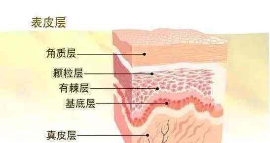 颜尊坊 颜尊坊：皮肤基础知识及各类皮肤护理重点！