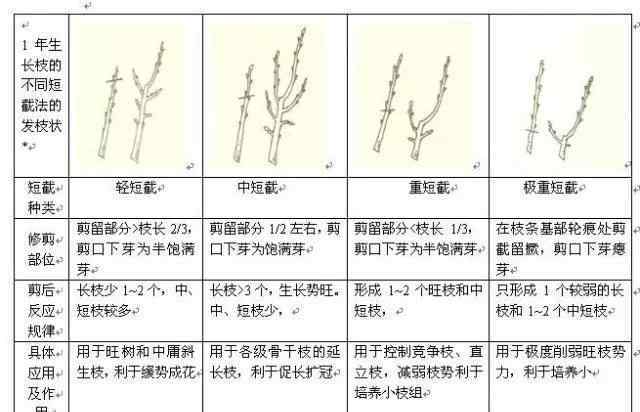 果树剪枝技术图解 果树修剪入门，11种修剪技术详解