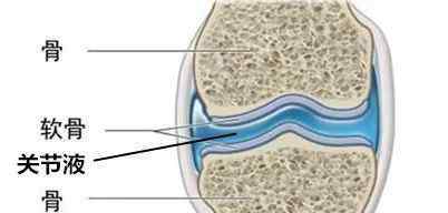 膝关节韧带能自愈吗 骨科医生：休息＋锻炼＝慢慢自愈