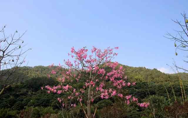 玉瑶山庄图片 潮州玉瑶山庄风景这么美，你来过吗？