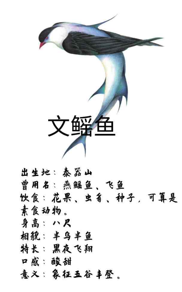 文鳐鱼 解读《山海经》美味文鳐鱼，像李白一样怀才不遇的飞鱼