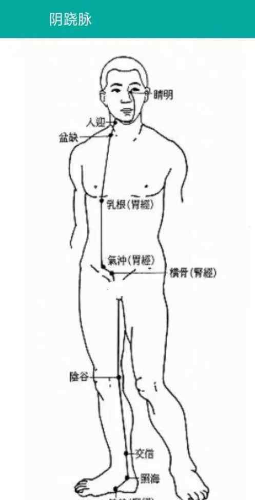 督脉穴位 奇经八脉中以任脉、督脉的穴位运用最广