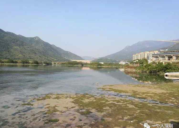 深圳海柴角 深圳陆地最东端：海柴角