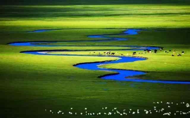 锡林郭勒大草原 中国四大草原之一，美丽的锡林郭勒大草原