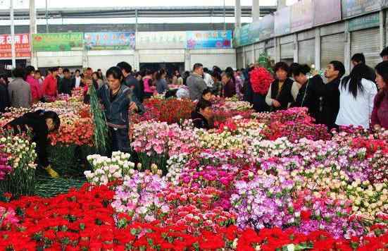 花卉市场批发 中国九大花卉批发市场，一年四季花飘香，年年岁岁花不同哦