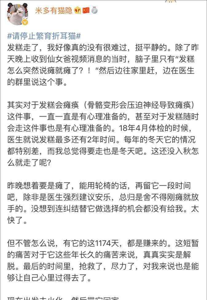 普通折耳猫多少钱一只 折耳猫有多可爱，人类就有多残忍