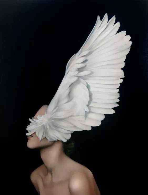 芍药小鸟 花与翅膀，这就是Amy Judd的画！