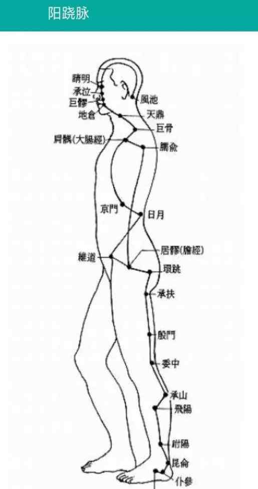 督脉穴位 奇经八脉中以任脉、督脉的穴位运用最广