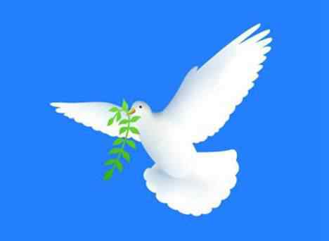 叼着橄榄枝的鸽子象征什么 橄榄枝和鸽子为什么会成为世界和平的象征