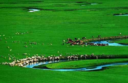 锡林郭勒大草原 中国四大草原之一，美丽的锡林郭勒大草原