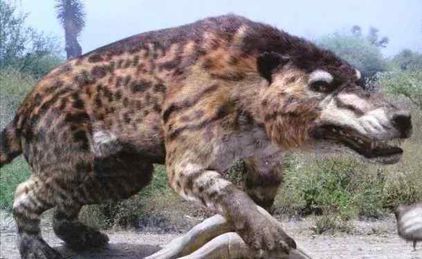 蒙古安氏中兽 10种已经灭绝的动物，其中一种可以秒杀霸王龙！