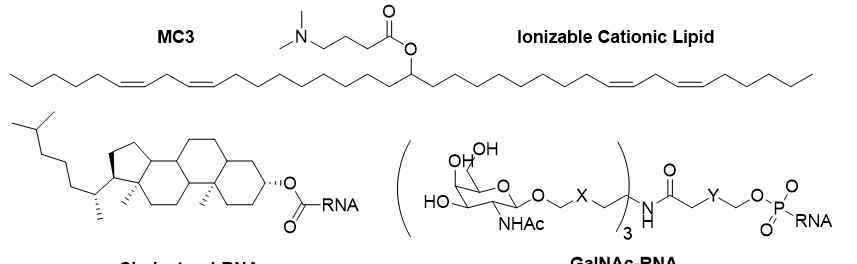 卟啉病人照片 生物科技的下个10年：RNA药物“王者归来”