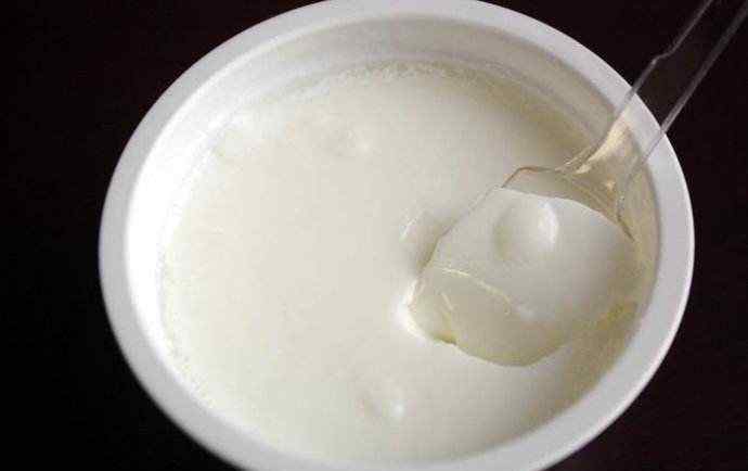 什么是老酸奶 神秘物种“老酸奶” 究竟是什么？