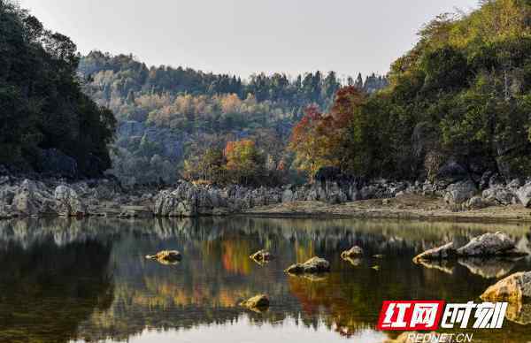 层林尽染是什么季节 层林尽染处 色彩斑斓时