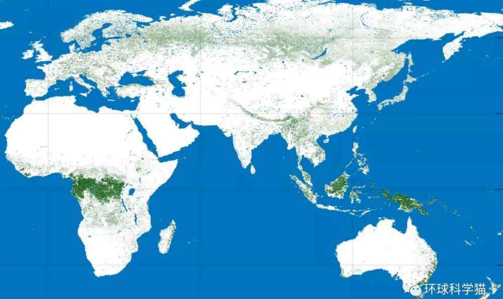 《森林》完整大地图 森林灌木丛地图更新，中国分布均匀，森林覆盖率大增，华南更绿了