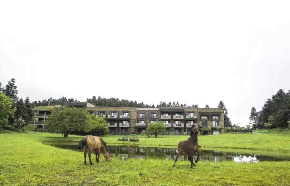 仙女山攻略 仙女山冬季自助游攻略2019完整版，不一样的重庆，不一样的乐趣