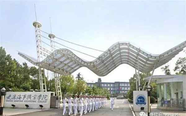 武汉专科院校 武汉10大最好的专科学校，有你上的学校吗？